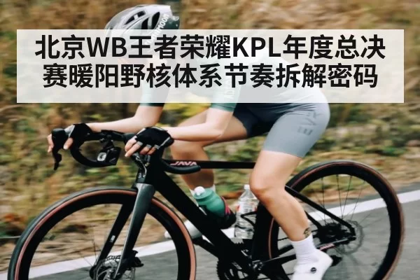 北京WB王者荣耀KPL年度总决赛暖阳野核体系节奏拆解密码
